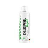 Хлорофил MST Chlorophyll liquid, 500 мл. 123123 фото