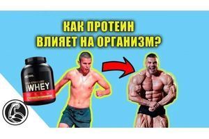 ПРОТЕЇН - ЩО ЦЕ? ЯКИЙ РЕАЛЬНИЙ ЕФЕКТ ПІСЛЯ ПРИЙОМУ? фото