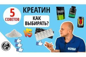 Як вибрати креатин? Порошок чи пігулки? фото