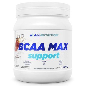 Аминокислоты All Nutrition BCAA Support + glutamine, 500 г. 05188 фото