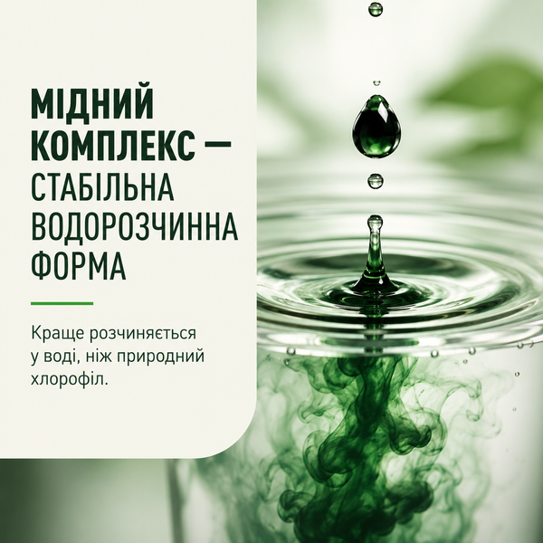 Хлорофилл Nature's Way Chlorofresh Liquid Chlorophyll 480 мл. (Мята) 12429683 фото
