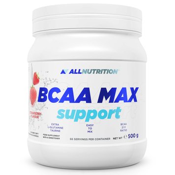 Амінокислоти All Nutrition BCAA Support + glutamine, 500 г. 05225 фото