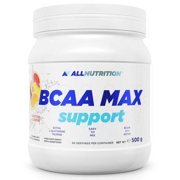 Аминокислоты All Nutrition BCAA Support + glutamine, 500 г. 05191 фото