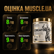 Креатин Kevin Levrone Gold Creatine, 300 г. 123461 фото 4