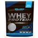 Сывороточный протеин Willmax WHEY PROTEIN WPC 65% 1000 г. (Крем брюле) 12429729  фото 1