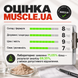 Протеин сывороточный Sporter 100% Whey Protein 900 г. 12429400 фото 9