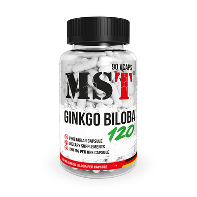 Гінкго білоба MST Ginkgo Biloba, 90 капс. 123359 фото