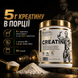 Креатин Kevin Levrone Gold Creatine 1000 г. 1242922 фото 7