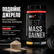 Гейнер MST BEST Mass Gainer, 1000 г. 05059 фото 3