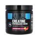 Креатин жевательные конфеты Animal Creatine Chews, 120 конфет 124657 фото 1
